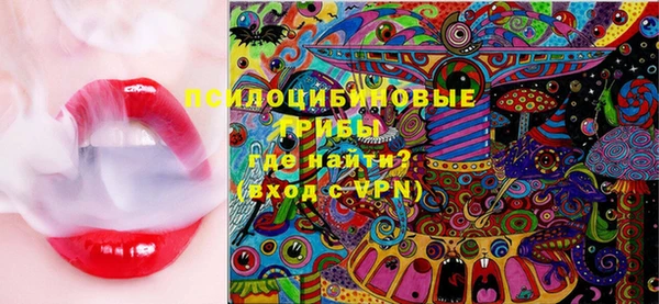 прущие крисы Медвежьегорск