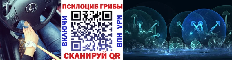 закладки  Сорск  Псилоцибиновые грибы мухоморы 